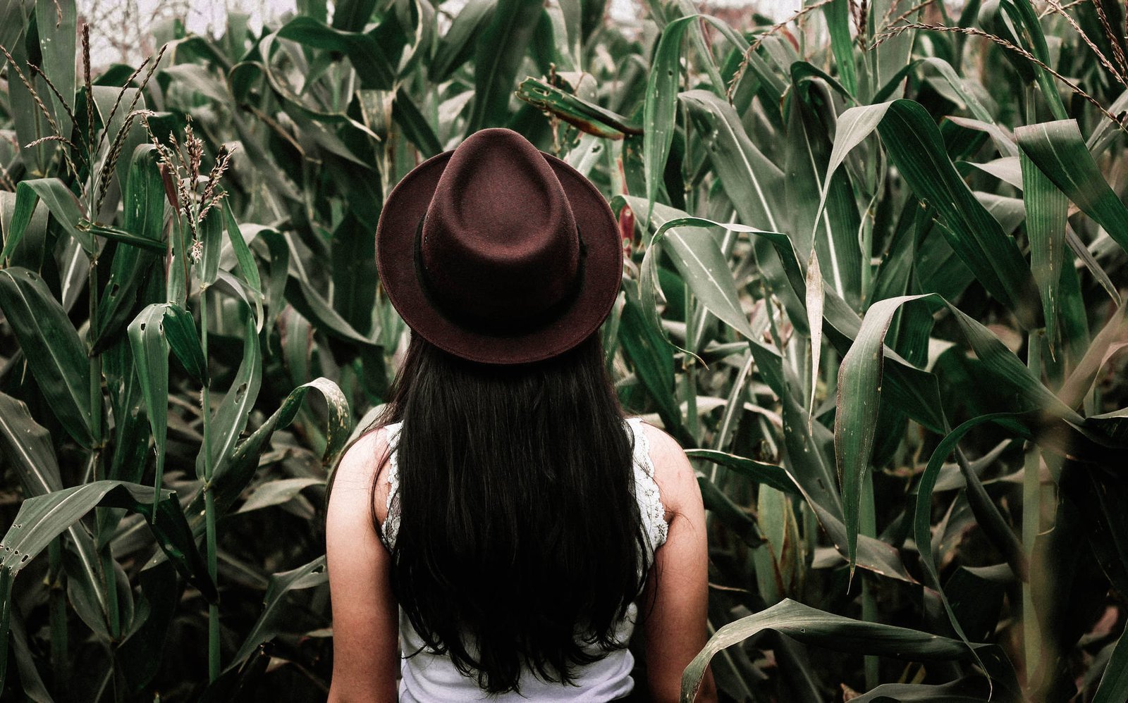 How Lifestyle Changes Affect Luxury Brands